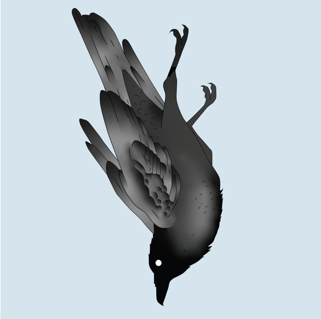 bird icon